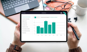Impulsa tu negocio con el análisis de estadísticas de ventas